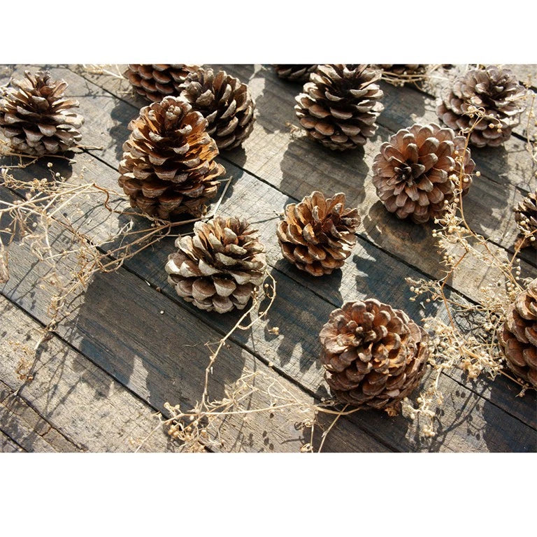 Kit 6 Pinhas Douradas para Árvore de Natal 7cm