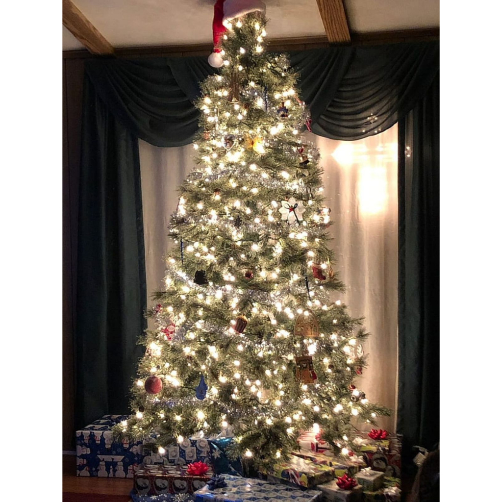 Cordão Pisca Pisca Natal 100 Leds 10m 8 Funções Varias Cores 110v 220v