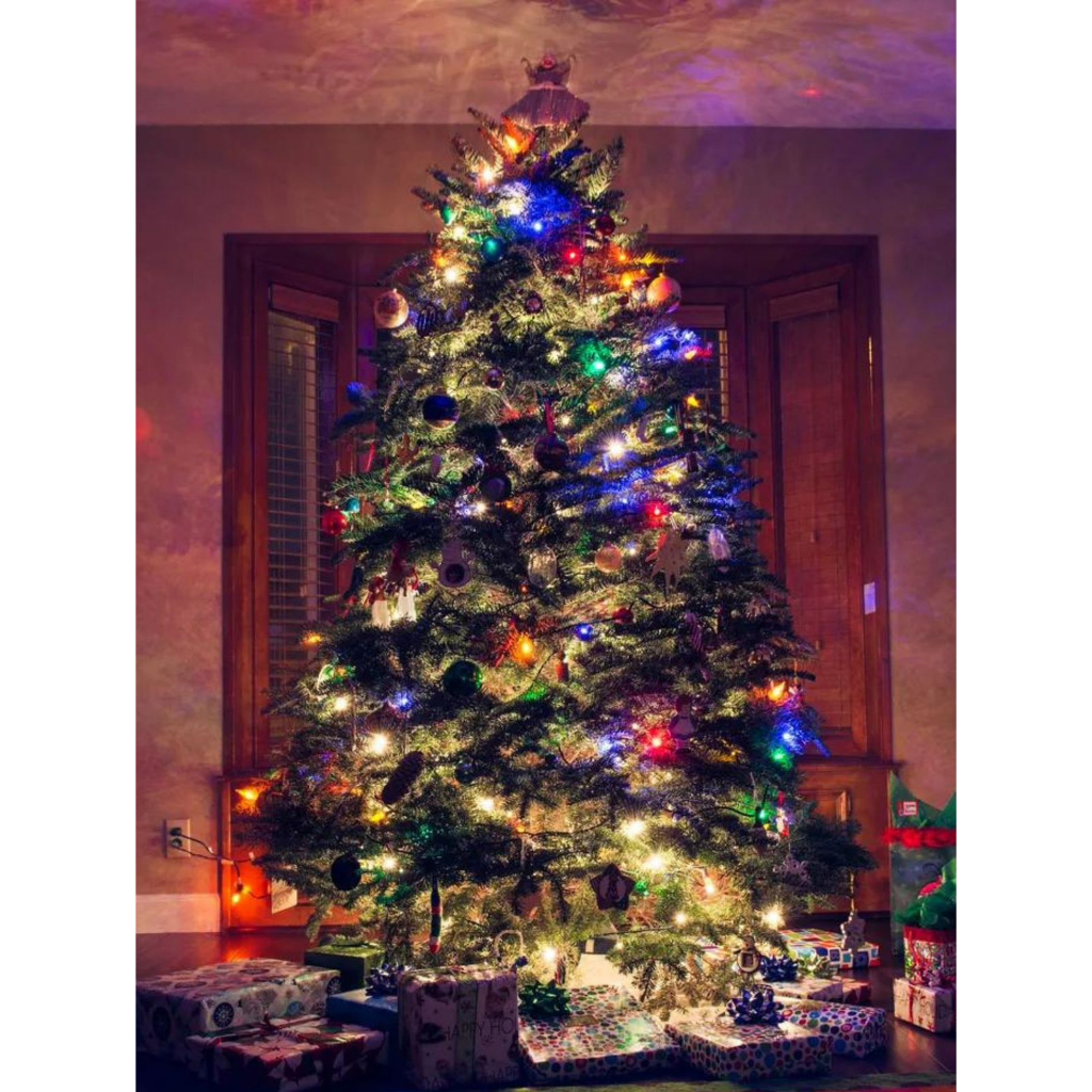 Cordão Pisca Pisca Natal 100 Leds 10m 8 Funções Varias Cores 110v 220v